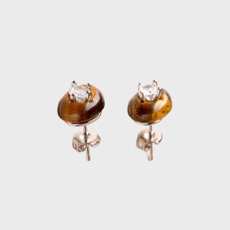 Fortune Ward Natural Tiger Eye Earrings