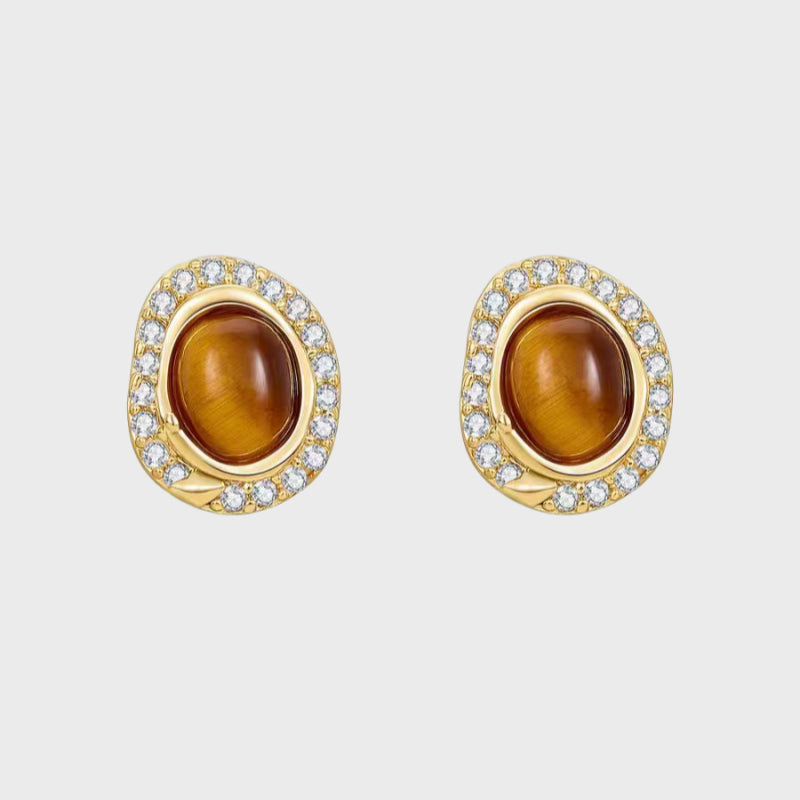 Aegis Tiger Natural Tiger Eye Earrings