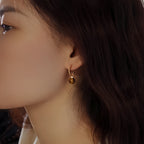 C-Shape Tiger Eye Two-Wear Earrings, Niche Vintage Maillard Crystal Jewelry for Wealth