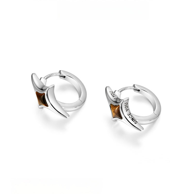 Unisex Tiger Eye Star Hoop Earrings — Minimalist Niche Crystal for Fortune & Good Luck