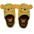 Winnie Winter Slippers Stitch Danold Alien