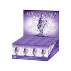 Skullpanda The Sound Series Blind box