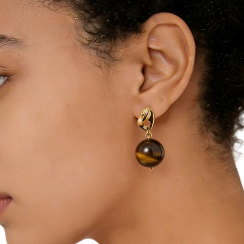 Wealth Aegis Natural Tiger Eye Earrings