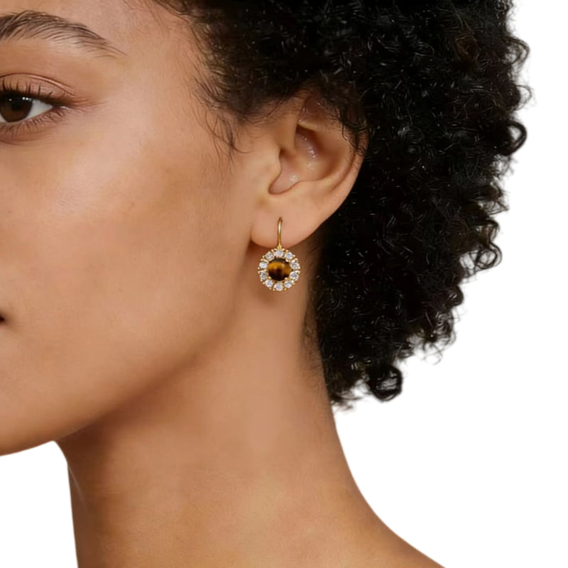 Animus Ward Natural Tiger Eye Earrings