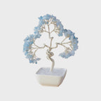 Clear Mind Prosperity Tree