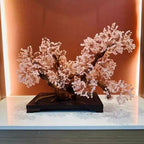 Serene Wealth Tree of Healing