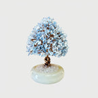 Aquamarine Money Tree