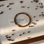 Tiger's Eye & Shell Stackable Bracelet - Courage & Calm